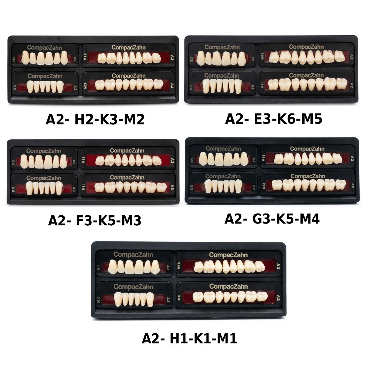 Rubydent CompacZahn Acrylic Denture Teeth A2 (Set of 28) Free Shipping