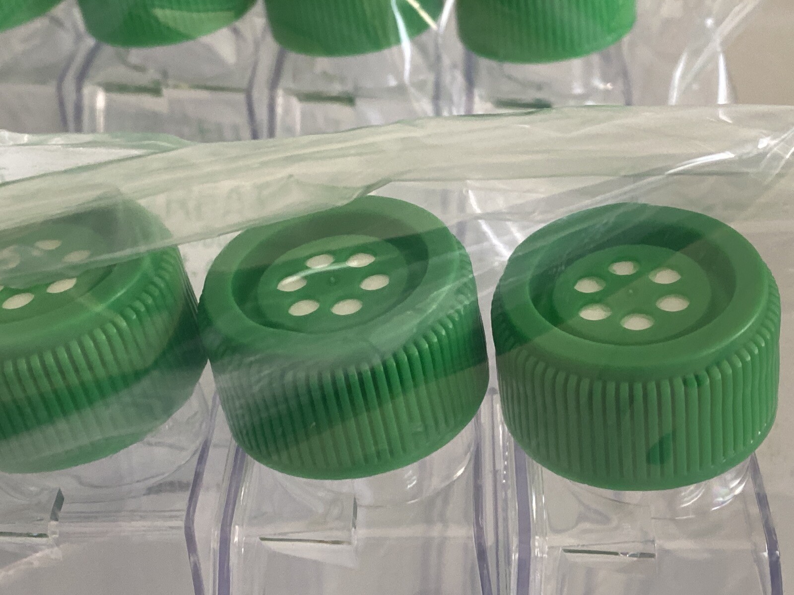 (80) CELLTREAT 600mL 182cm2 PS Tissue Culture Treated Flask w/Vent Cap 229351