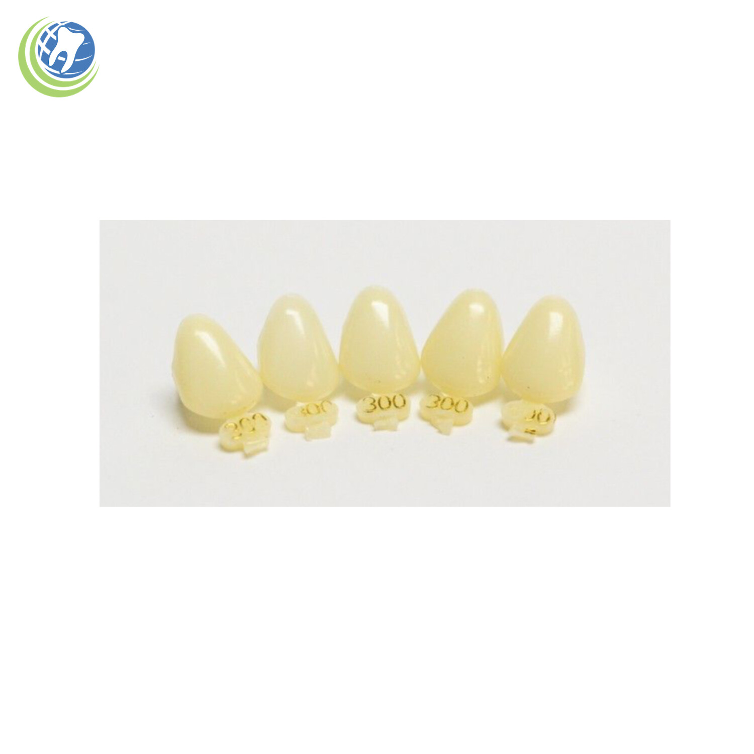 Tooth #6 or #27 Upper or Lower Right Cuspid Polycarbonate Crowns Cap Refills