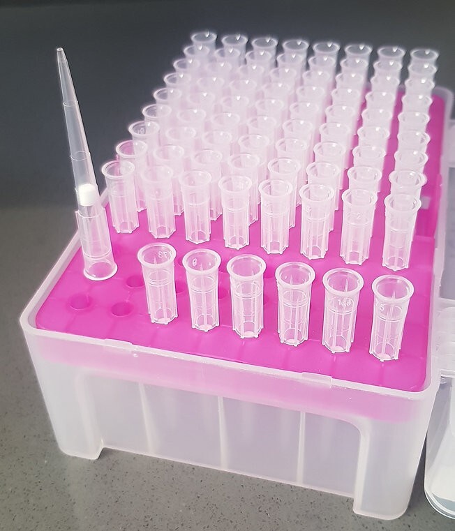 Pipette tips filtered 50ul (Sterile, 50 racks, 4800 tips)