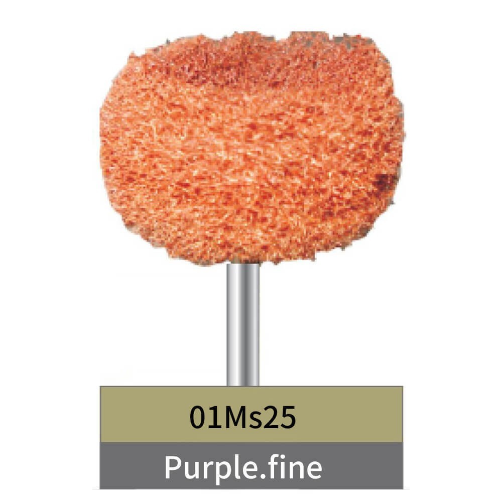 20PCS Dental Polishing Brush Wheel Purple Fine for Scouring & Polishing 25mm