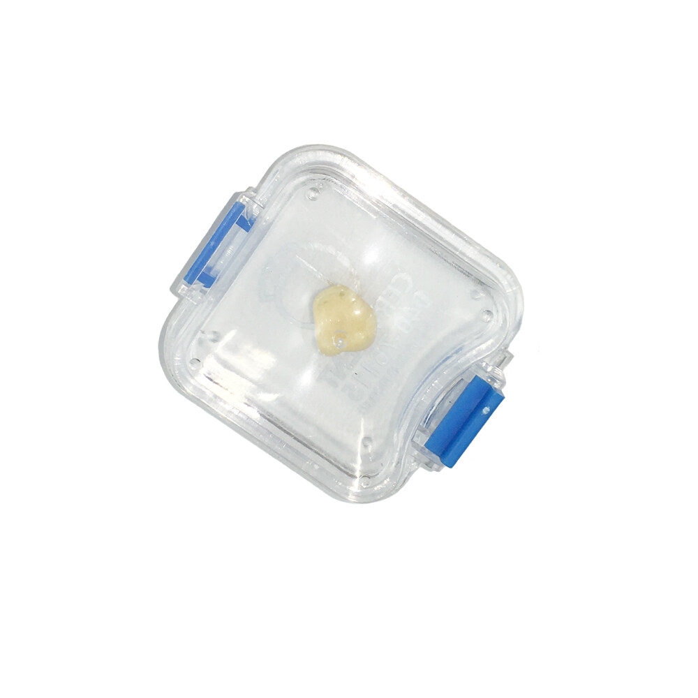 100pcs Plastic Dental Clear Film Box Denture Case with Membrane Dental Box