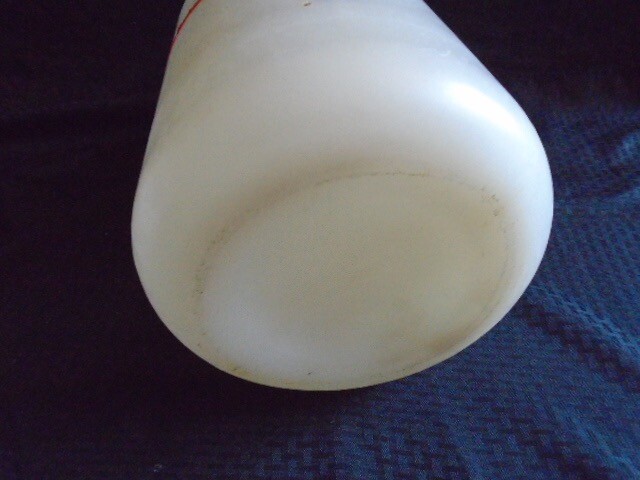 NALGENE 20L 5-Gallon Polypropylene Graduated White Carboy 3-Port Closure