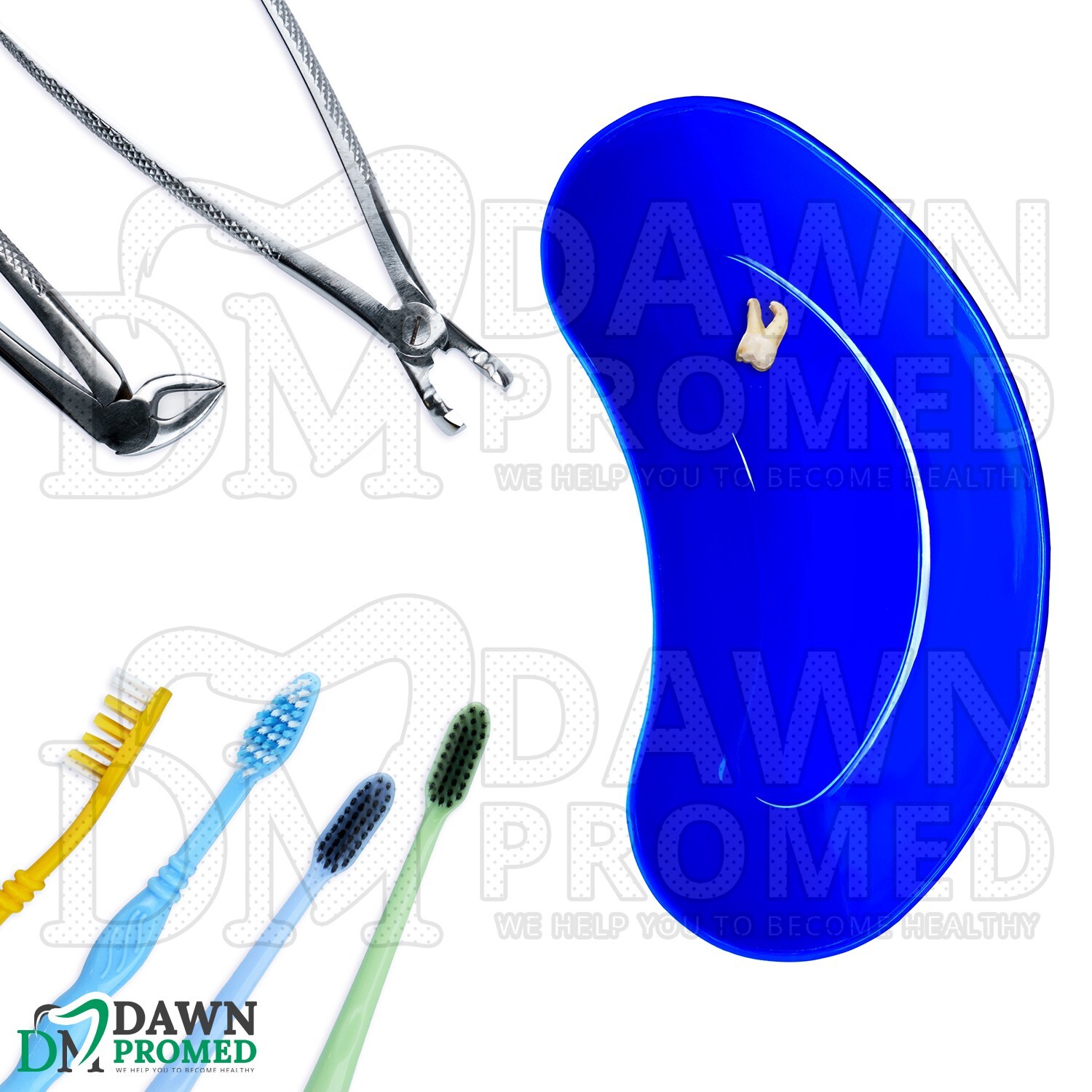 Small Plastic Dental Instruments 6″ Kidney Tray Bowl Basin Emesis Medical Dish