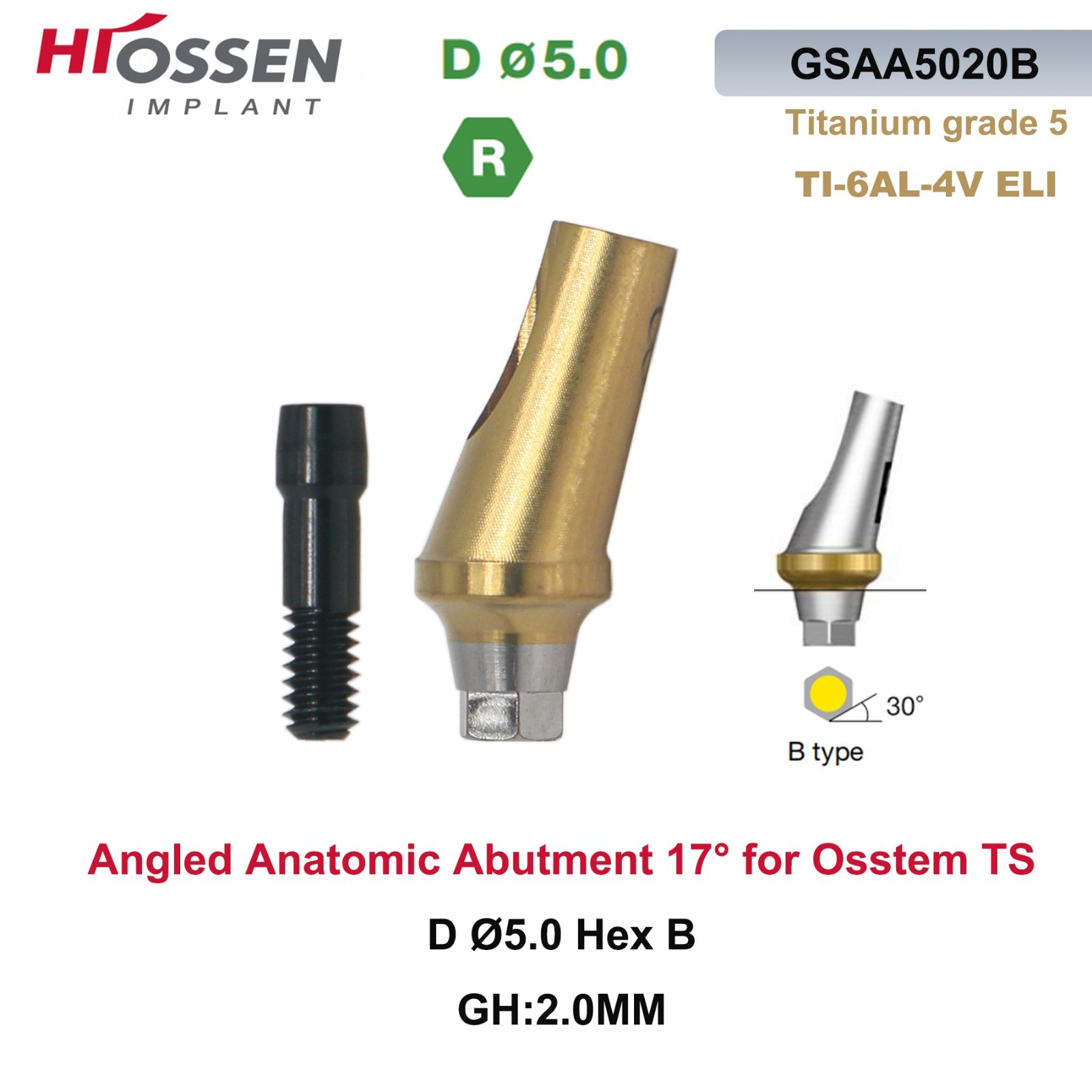 17° Angled Abutment Mini/Regular Hex Compatible with Osstem TS Implants Titanium