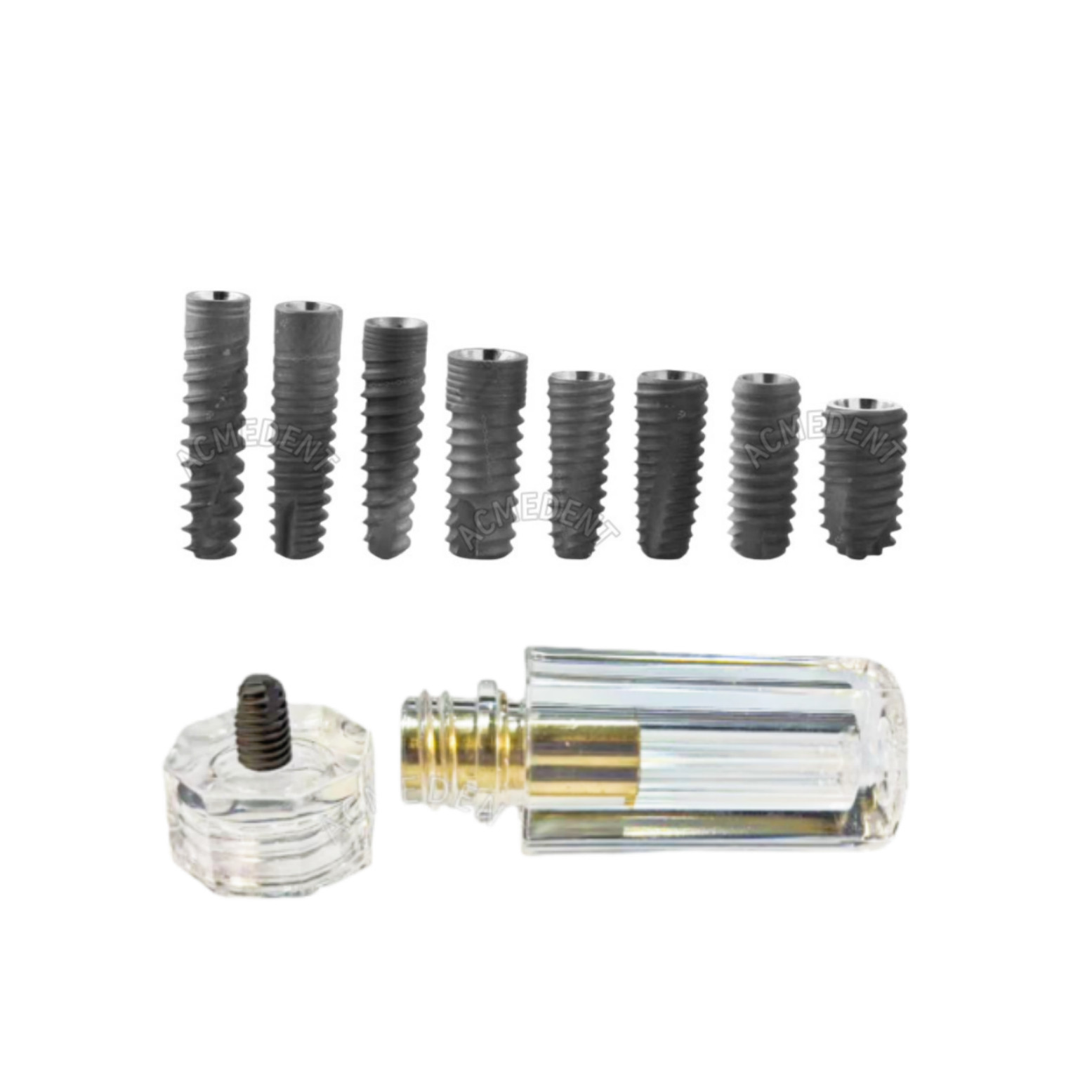 Dental Implant Model Education Center Implants Training Course Models NOB OSSDEN