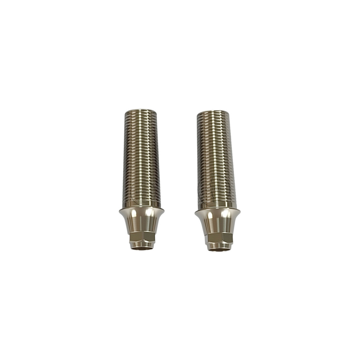 10 pcs Titanium Temporary abutment fits to Den-tium superline