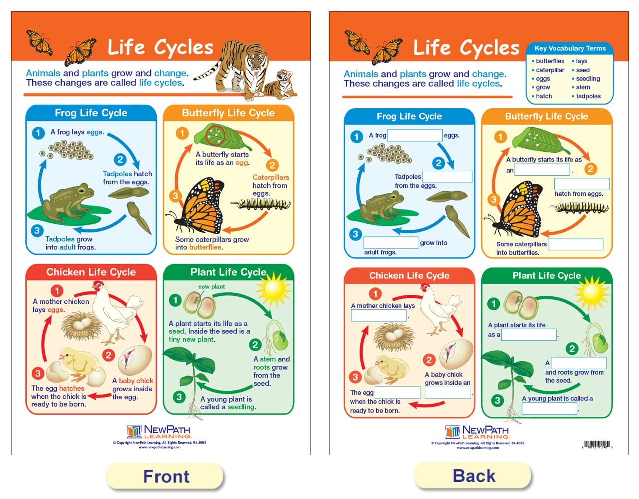 Newpath Learning-94-1501 All About Animals Bulletin Board Chart Set Pack Of 5