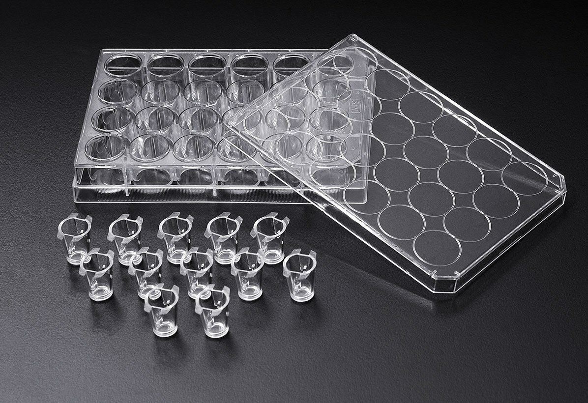 SPL Inserts Hanging PC membrane, 0.40 µm pore, Opaque 6.5 mm diam. Sterile
