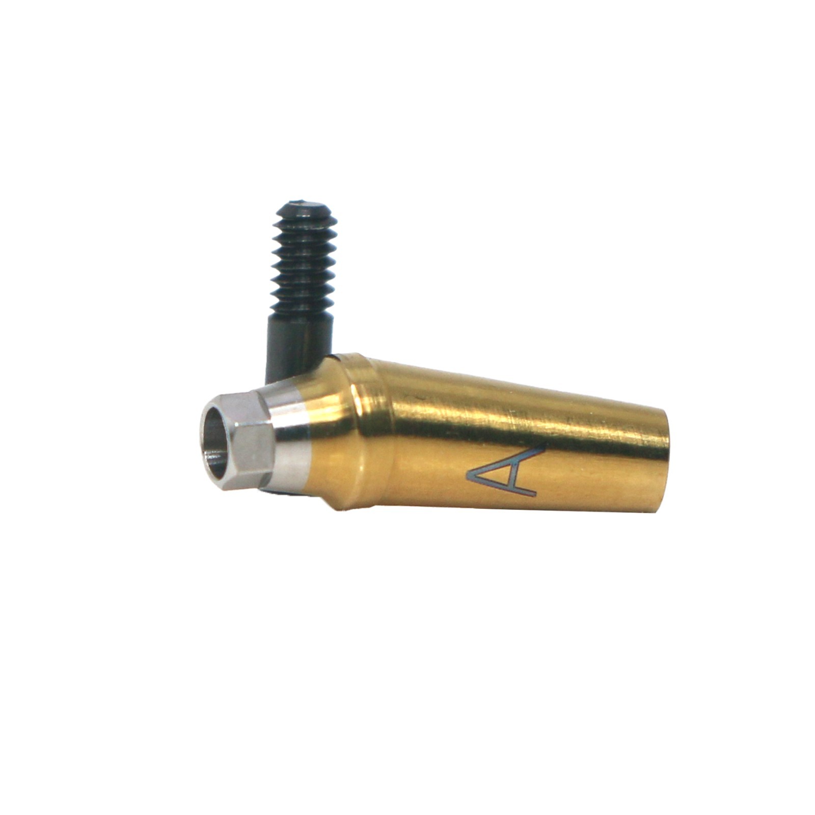 17° Angled Abutment Mini/Regular Hex Compatible with Osstem TS Implants Titanium