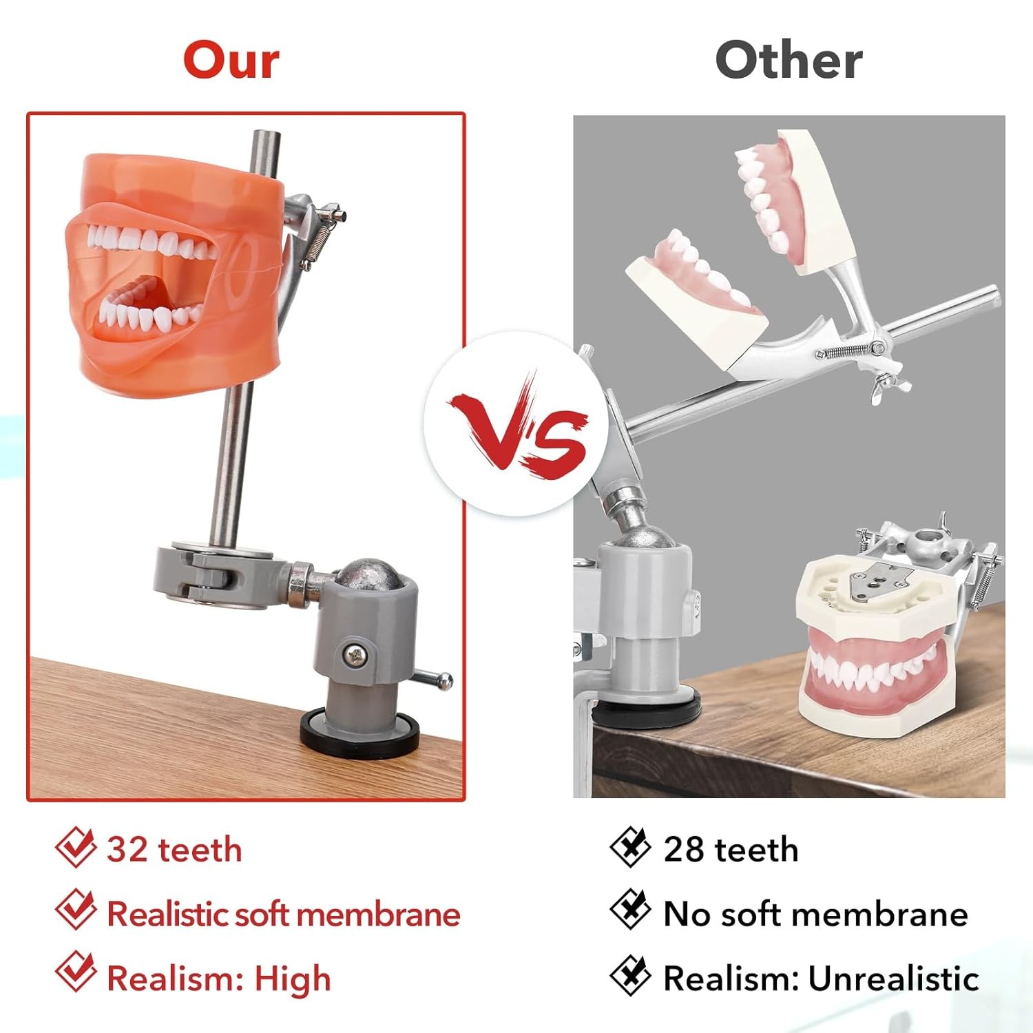 New Dental Simulator Mannequin Head Teeth Model Typodont Model &Teeth Mount Pole