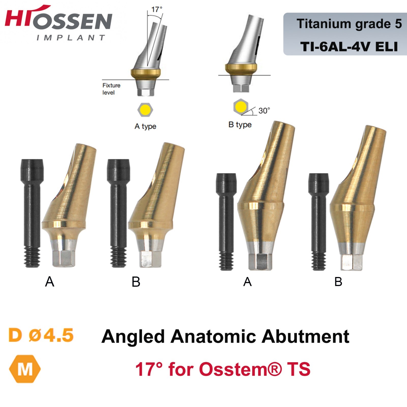 17° Angled Abutment Mini/Regular Hex Compatible with Osstem TS Implants Titanium
