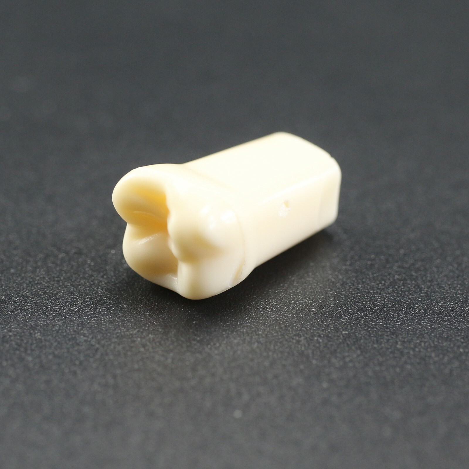 Dental Typodont Teeth Model Replacement Individual Screws Fit Kilgore Nissin 200