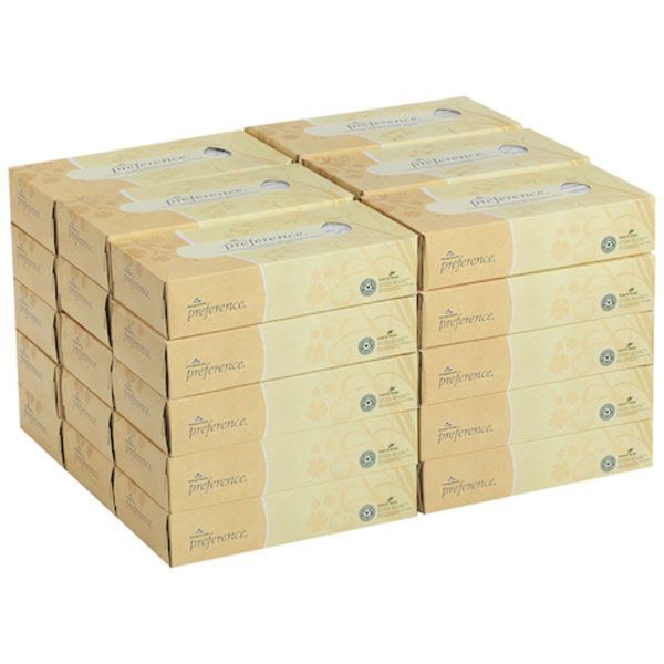Preference 2-Ply Facial Tissue, Flat Box, White, Case of 30 – 100