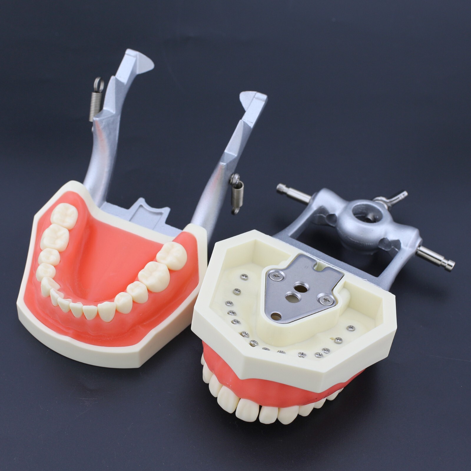 Dental Typodont Mounting Pole Model With 28pcs Removable Teeth Kilgore Nissin200