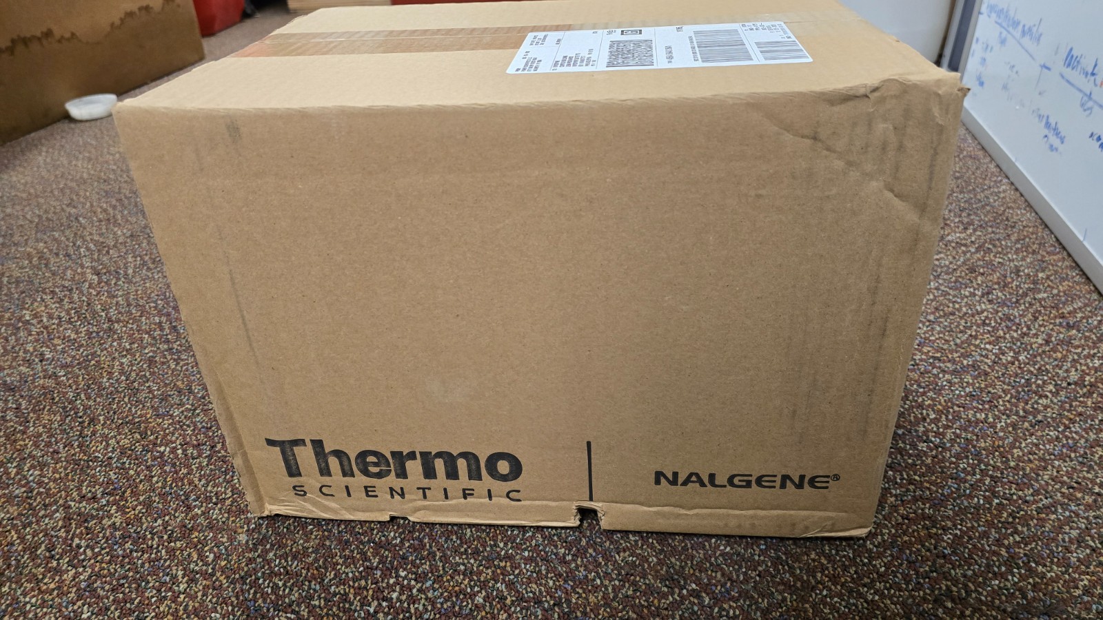 Thermo Scientific Rapid-Flow Filter Unit, 150mL, 0.2um CN membrane, case of 12