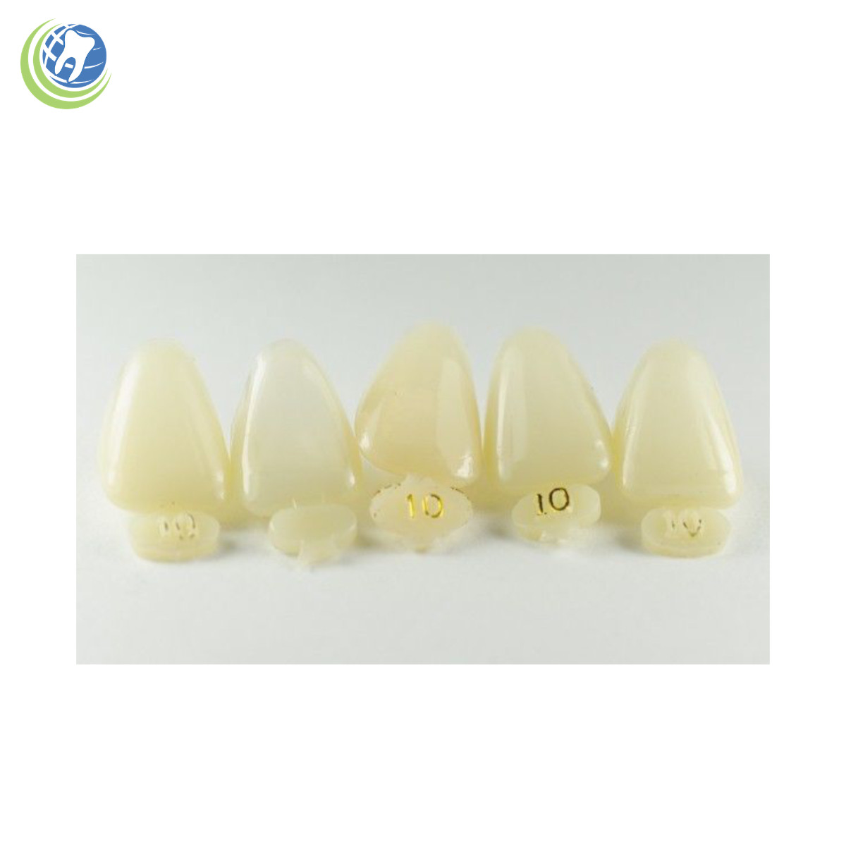 DENTAL POLYCARBONATE TEMPORARY CROWNS #10 (URC) UPPER RIGHT CENTRAL 5/PACK