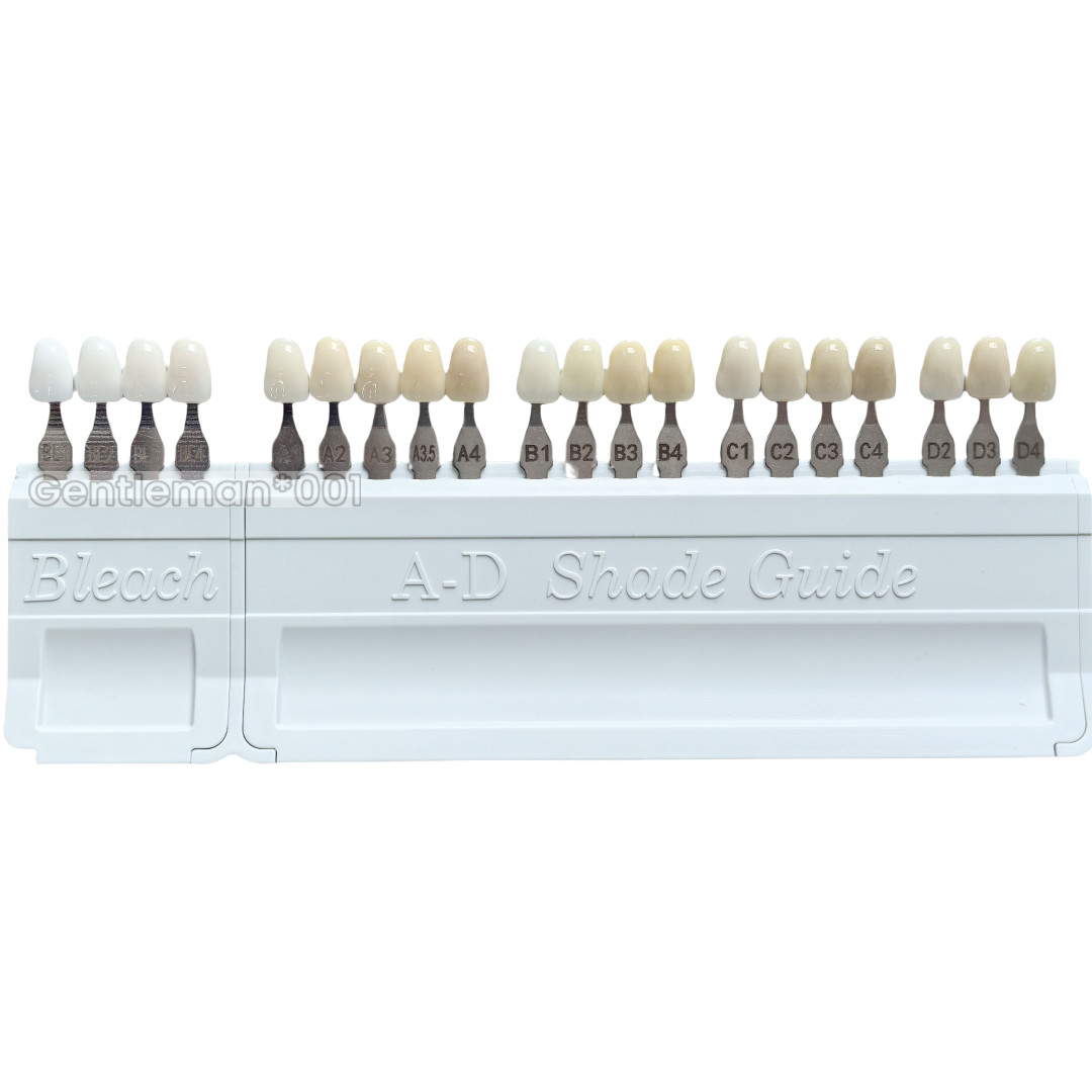 Dental Bleached A-D Shade Guide Bleached Chart Teeth Whitening Based Vita