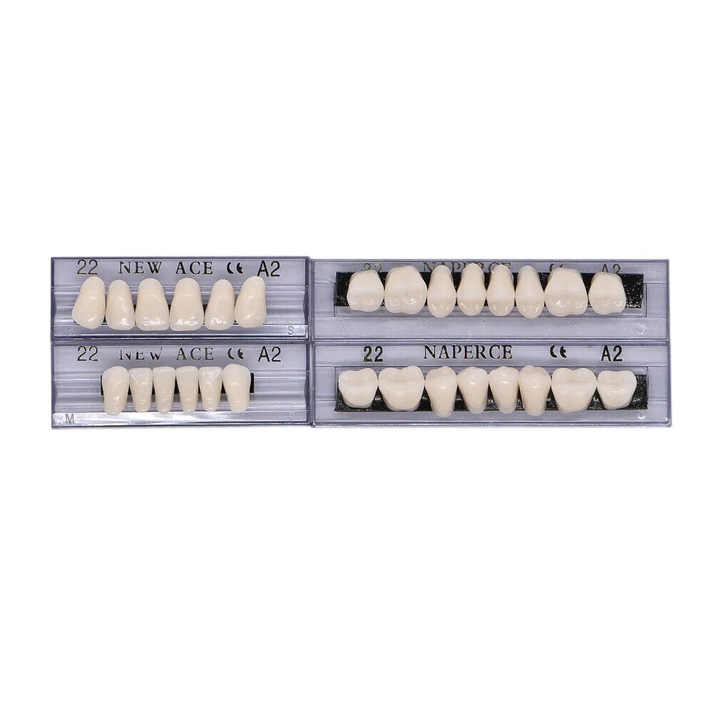 168X Acrylic Resin A1/A2/A3 Dental Denture Teeth Upper Lower Shade 22/23/24# USA