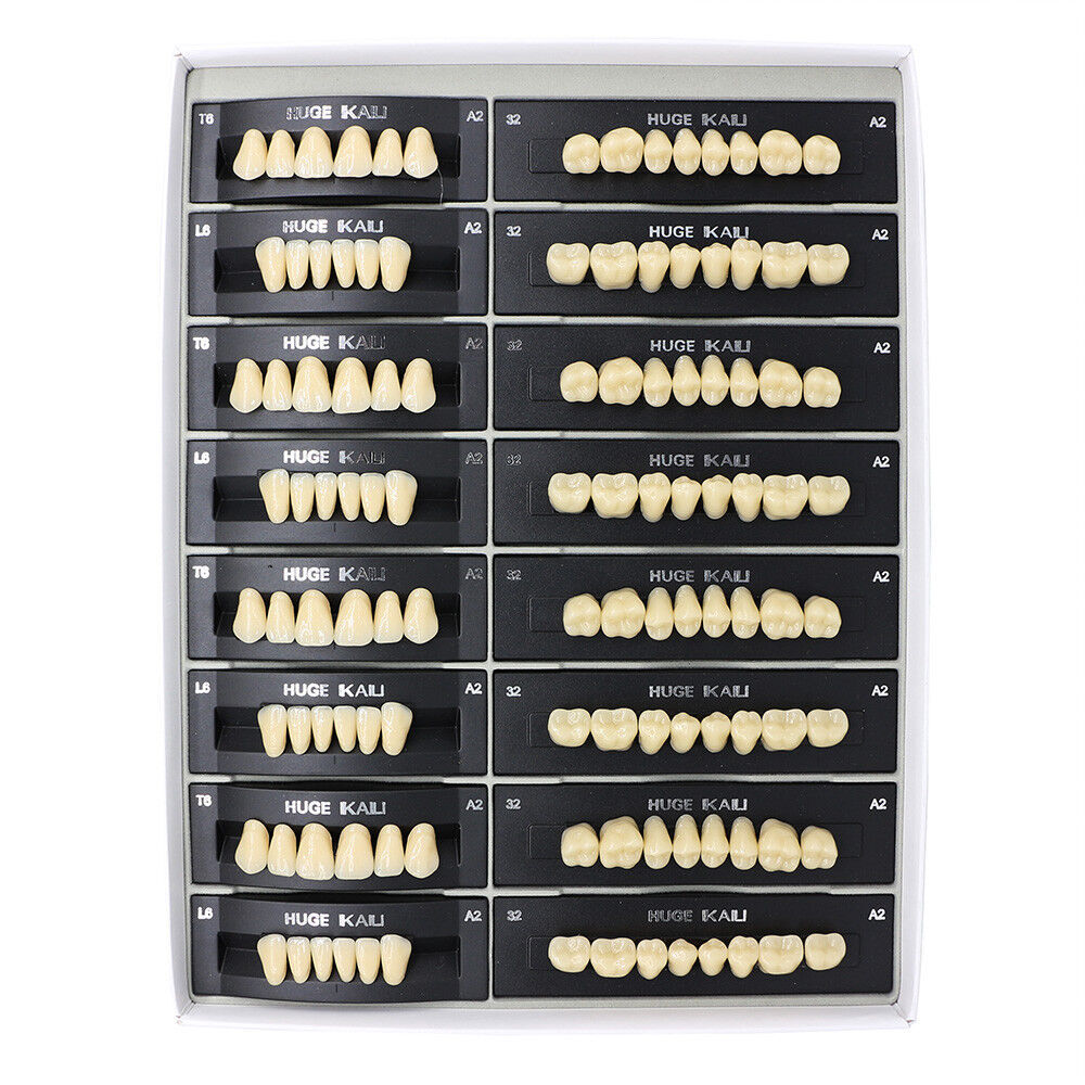 Dental Intraoral Cheek Lip Retractor Mouth Opener C+O+W+T+Fishtail 12 sizes