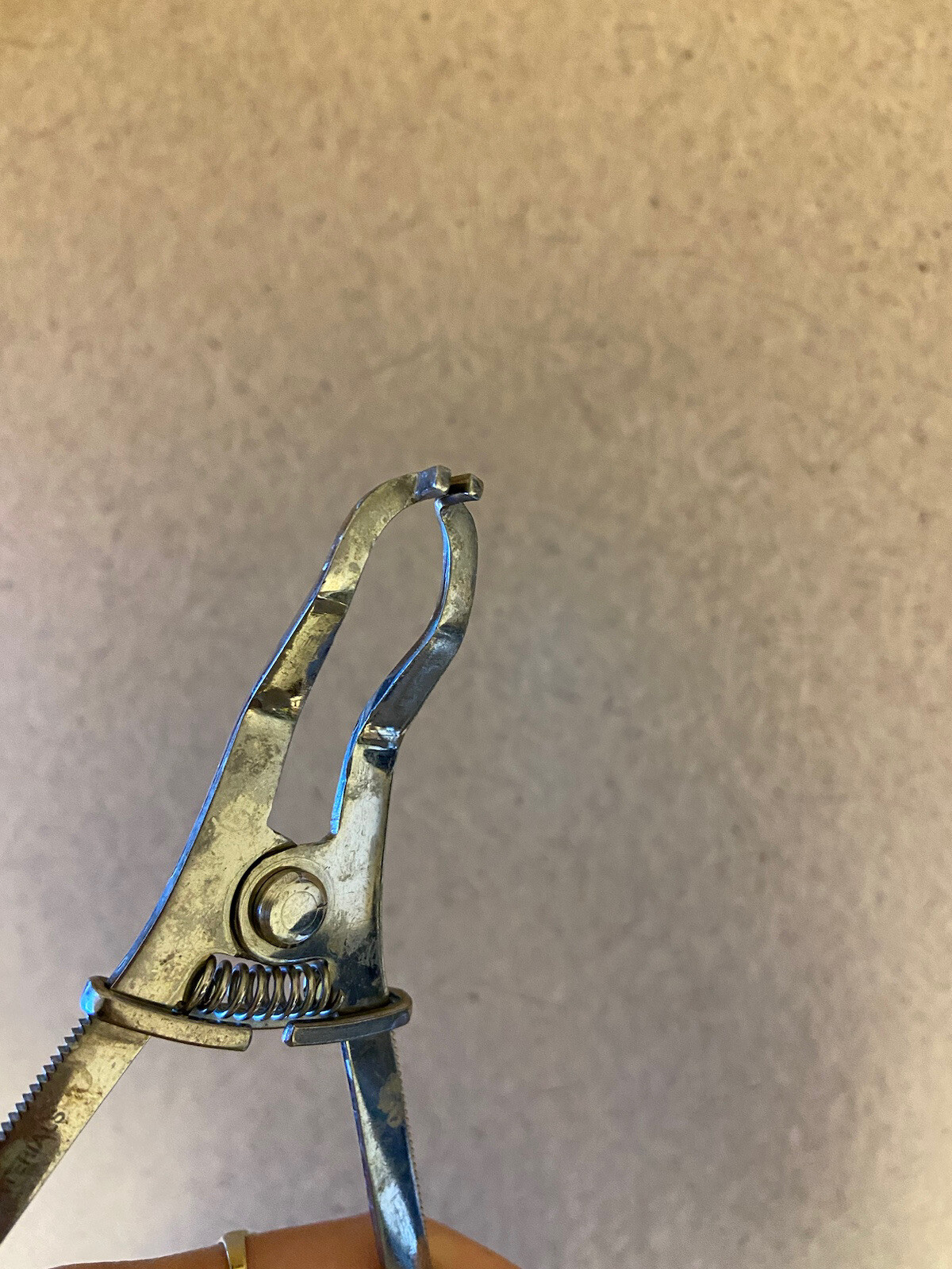 Danville Materials Sectional Matrix Ring Forcep