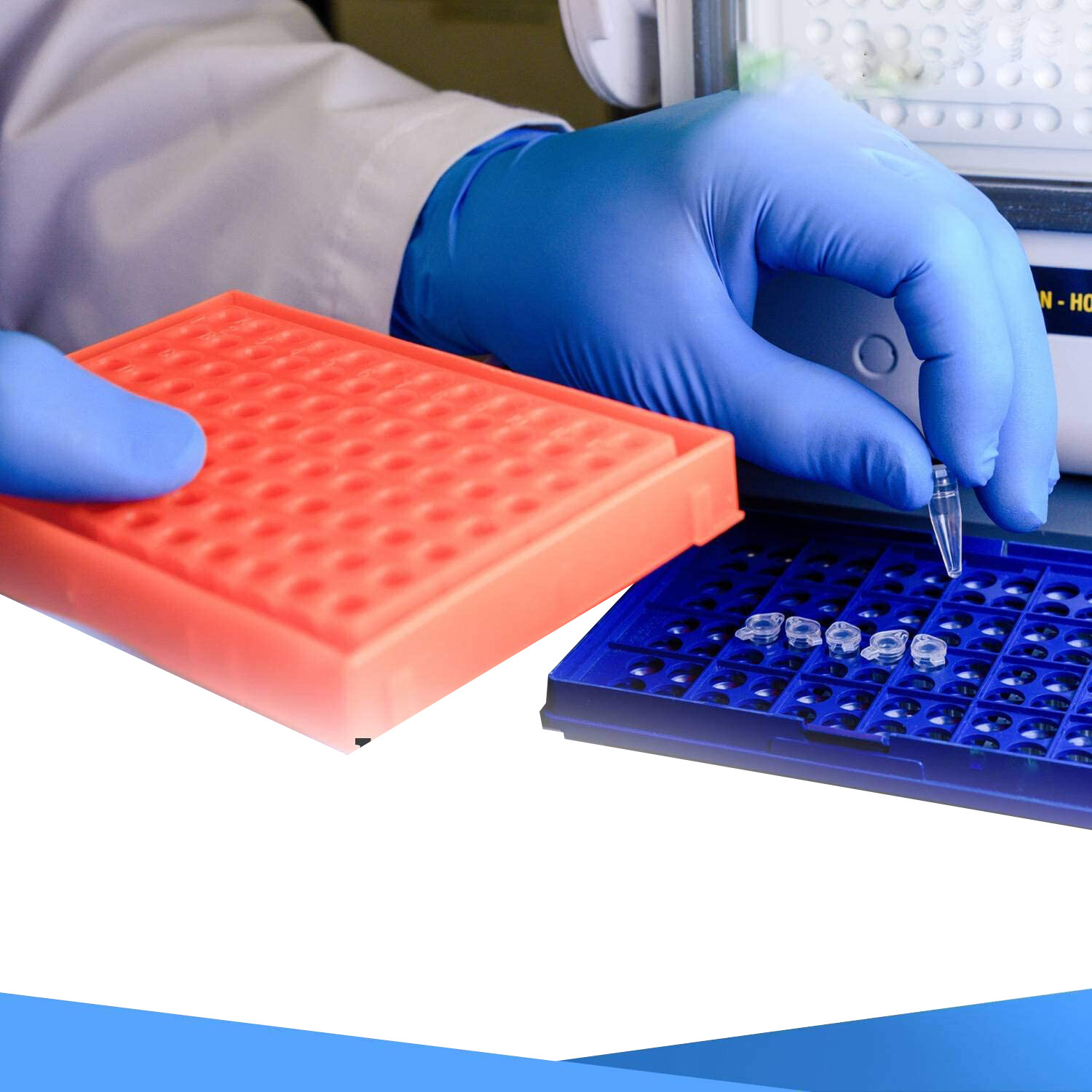 1000 PCS Basic Blue Vinyl Exam Gloves S SIZE