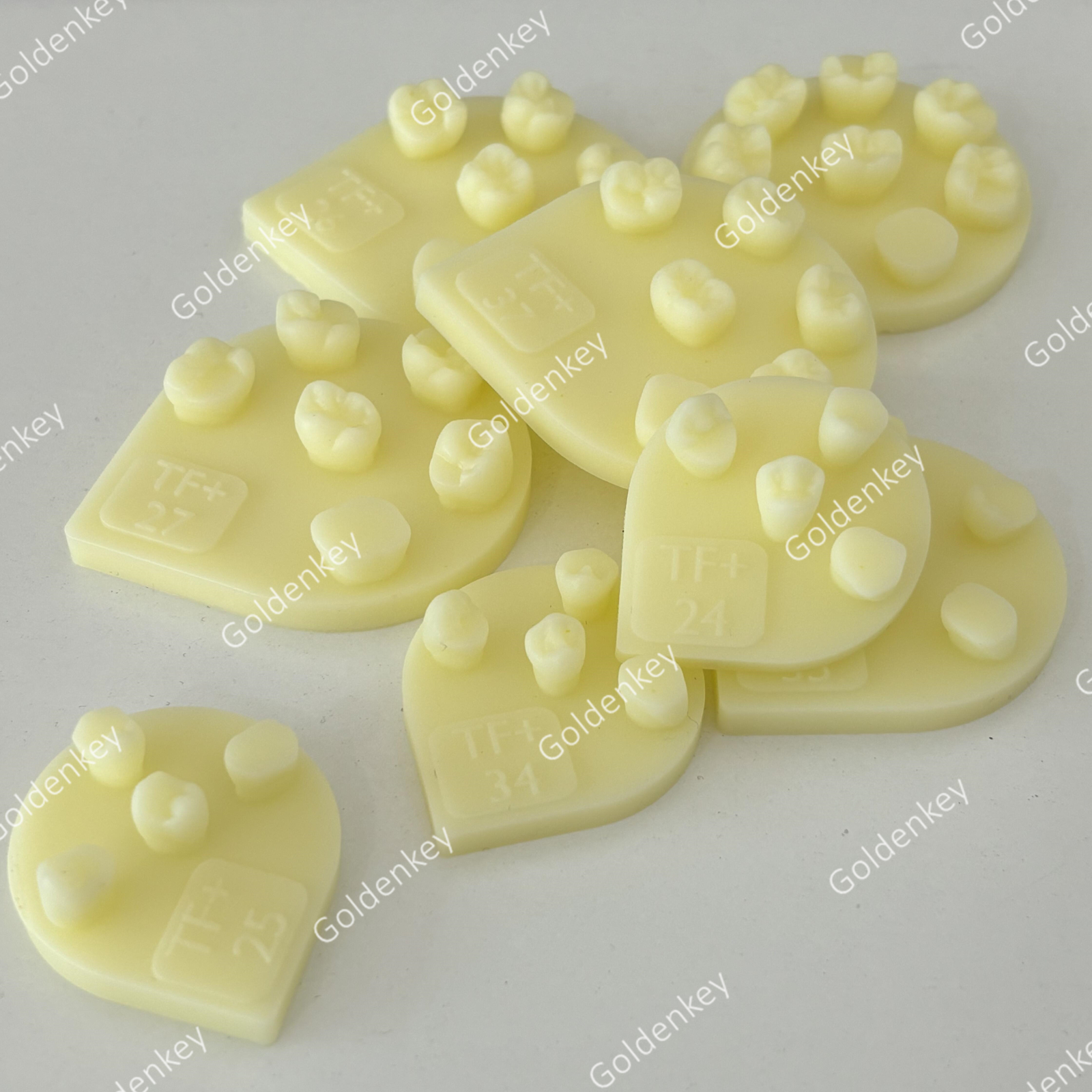8pcs Dental Tooth Shape Practice Model Molar Resin Composites Filling US STOCK