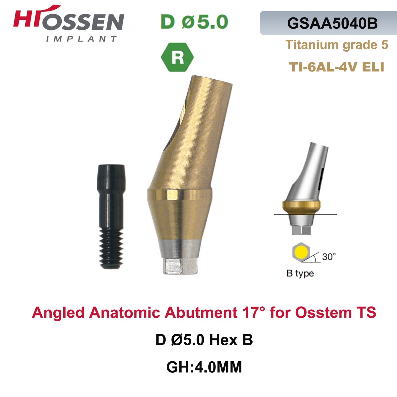 17° Angled Abutment Mini/Regular Hex Compatible with Osstem TS Implants Titanium