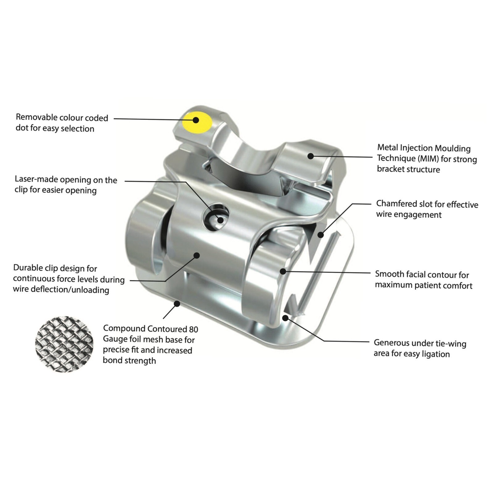 Orthodontic Brackets Clever Thomas Metal Damon AO Empower Self Ligating Braces