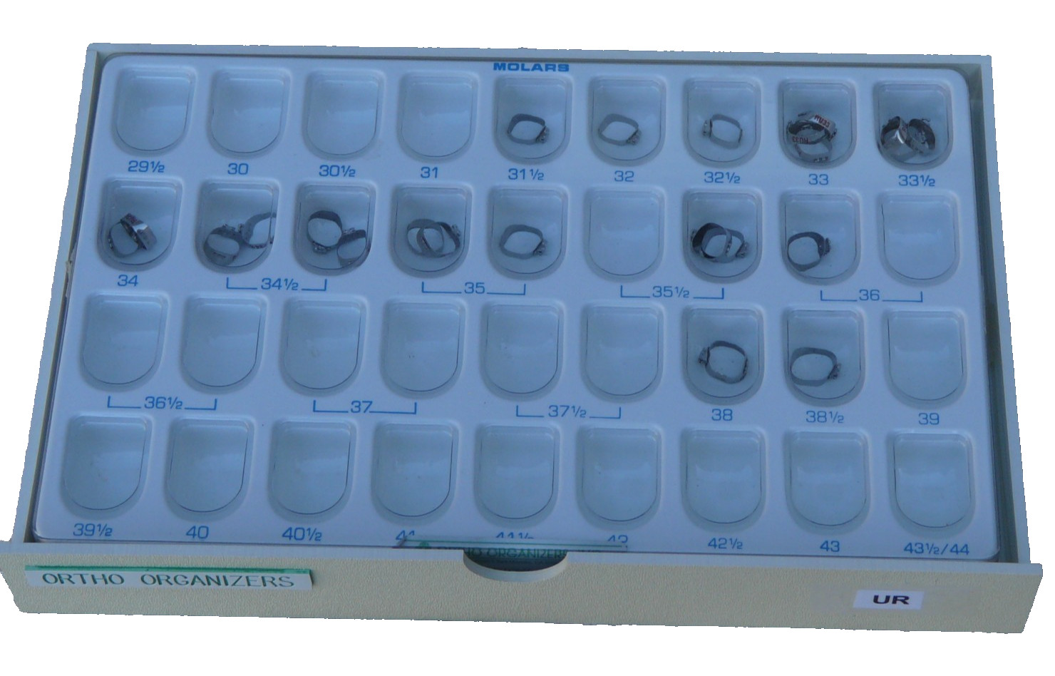 molar bands