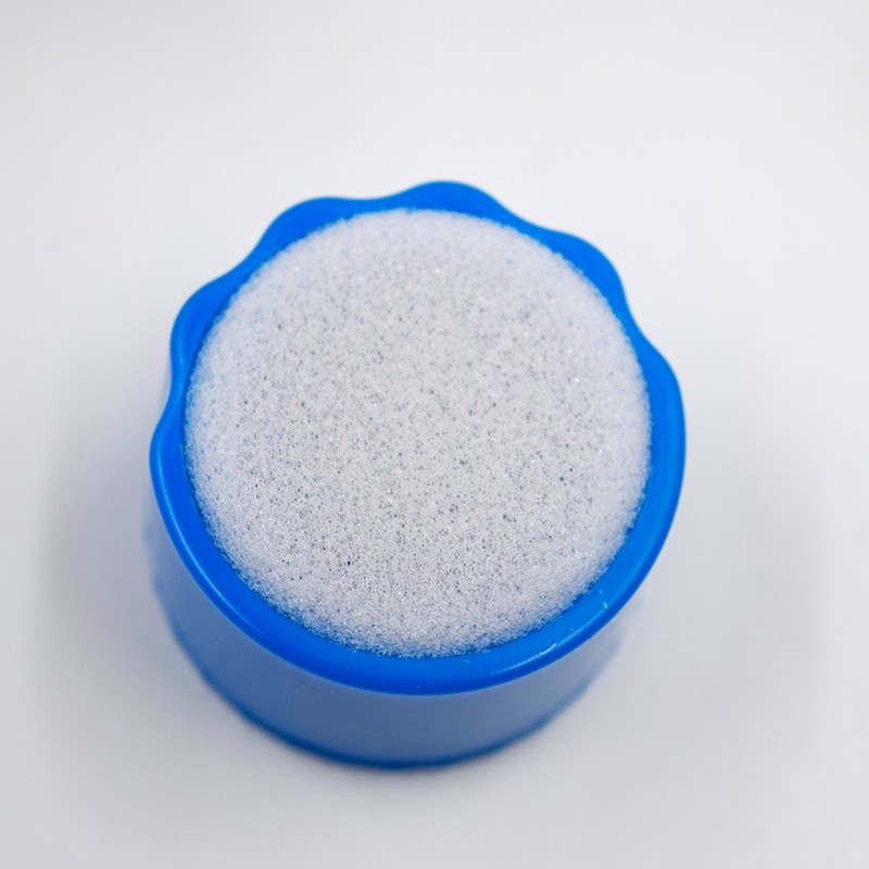 Dental Endodontic Files Round Stand Cleaning Holder Foam Sponges Autoclavable