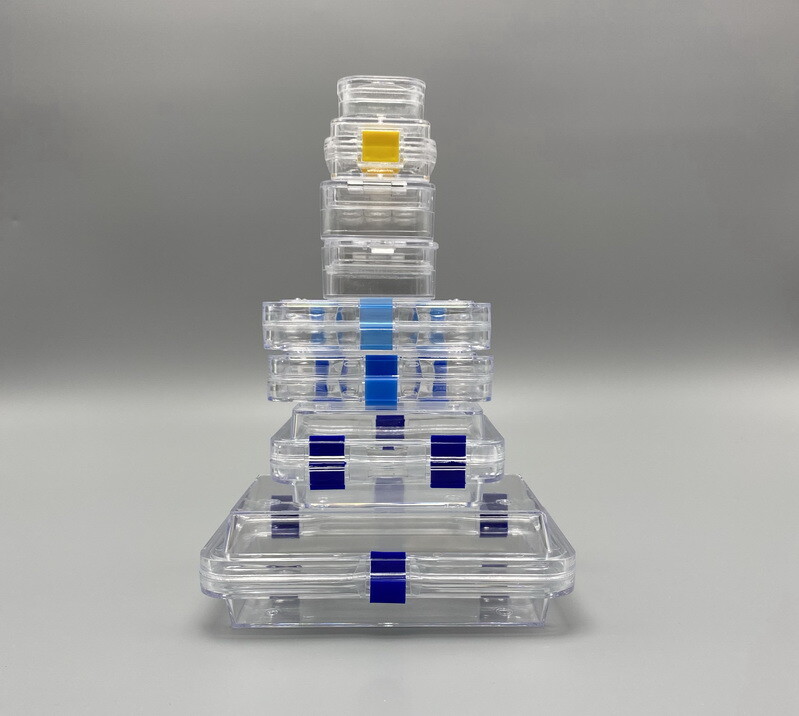Plastic Dental Box Denture Storage Box with Membrane Hinge Display Jewelry Boxes