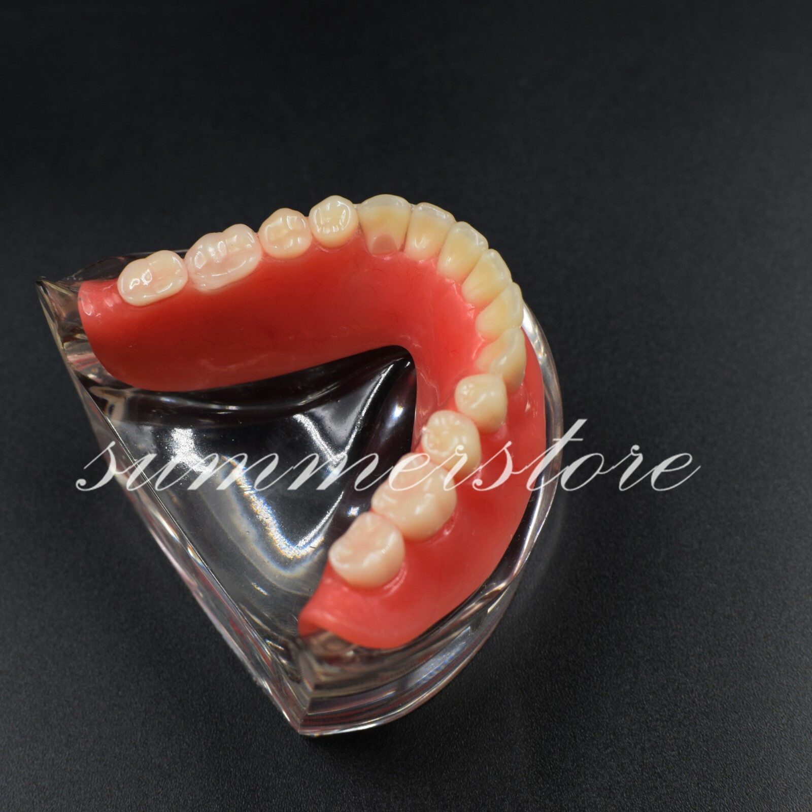 #6003 Dental Teach Study Demo Model 4 Implants Overdenture Inferior Transparent