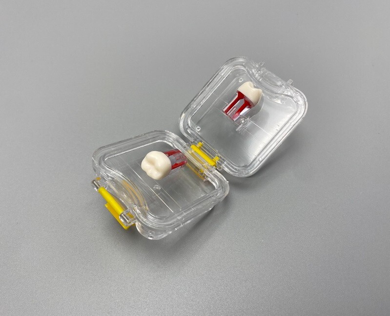 20Pcs Denture False Teeth Membrane Case Container Hinged Display Box Jewelry USA