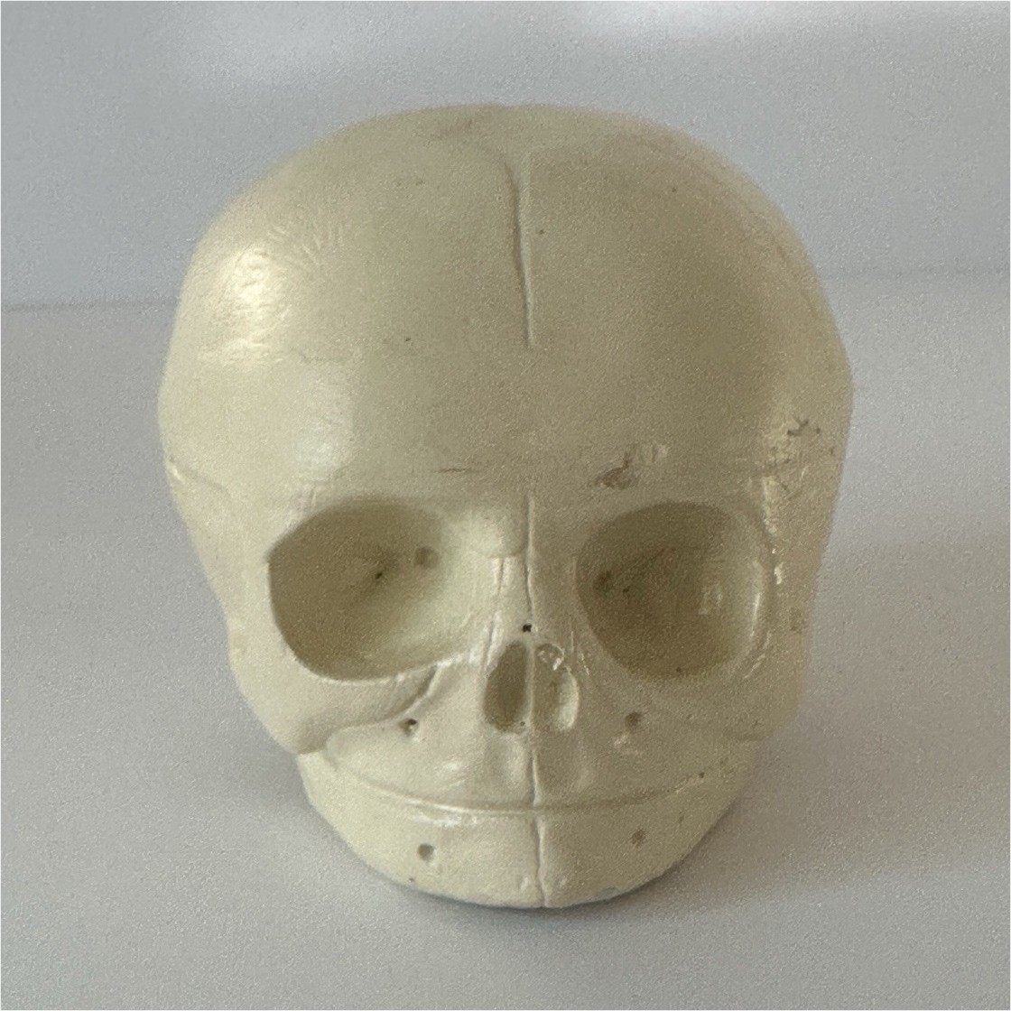 Infant Baby Skull Replica Model – Gothic Oddities Curio Decor – NOT REAL