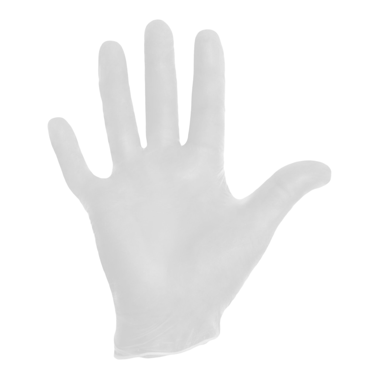 Halyard Vinyl Exam Glove Standard Cuff Length MEDIUM 1000 per Case