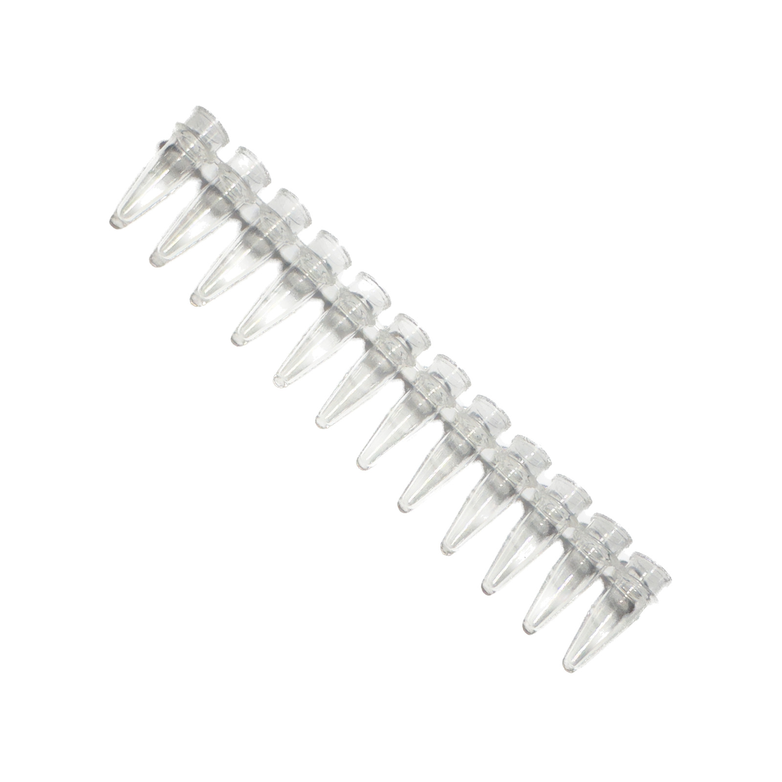 BRAND 0.2 mL 12-Tube PCR Strip Clear PP (Pack of 10) – LABORATORY LAB