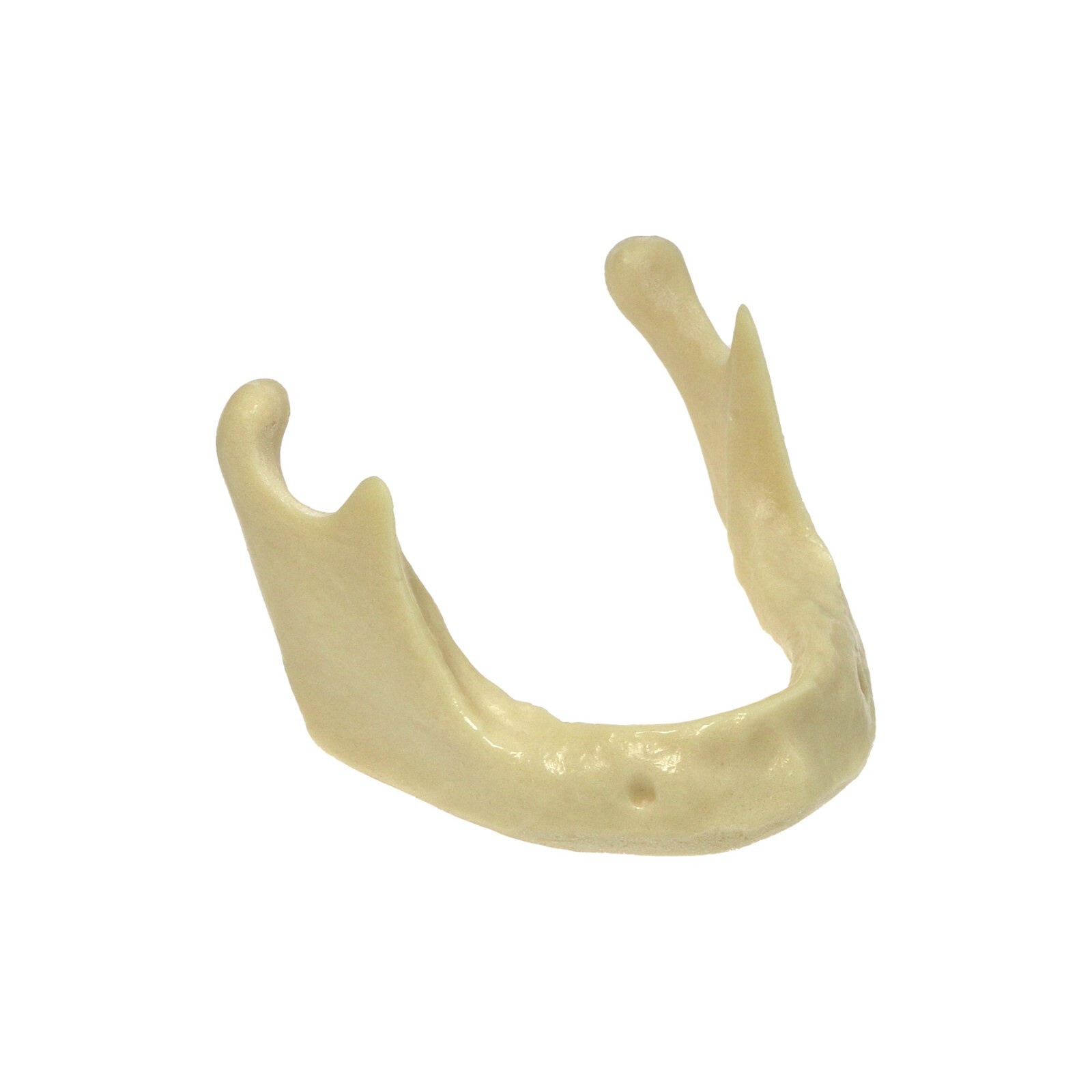 Dental Typodont Teeth Model Overdenture Implant Practice Endo Ortho Teachi Study