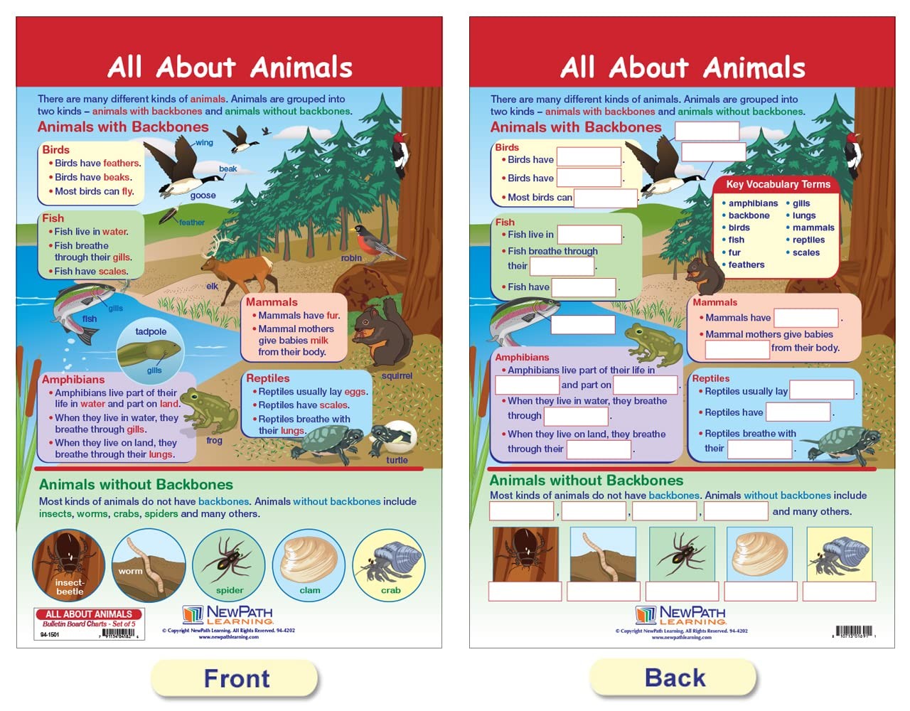 Newpath Learning-94-1501 All About Animals Bulletin Board Chart Set Pack Of 5