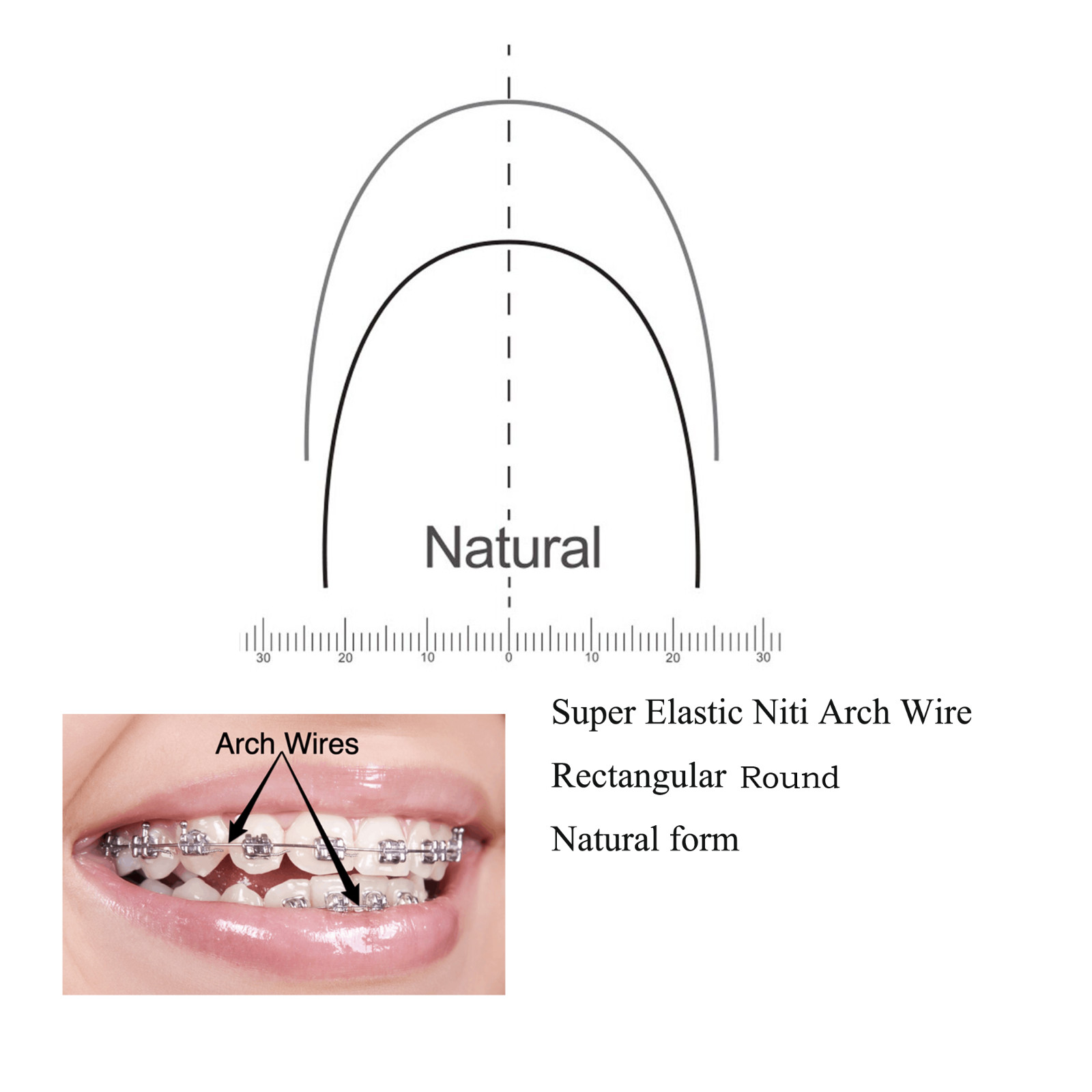 100pcs Orthodontic Arch Wire Round Rectangular Arcos Arch Wires Natural Form