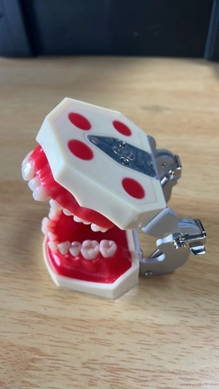 New Reusable Dental Practical Training Model/typodont/orthodontics Wax Model