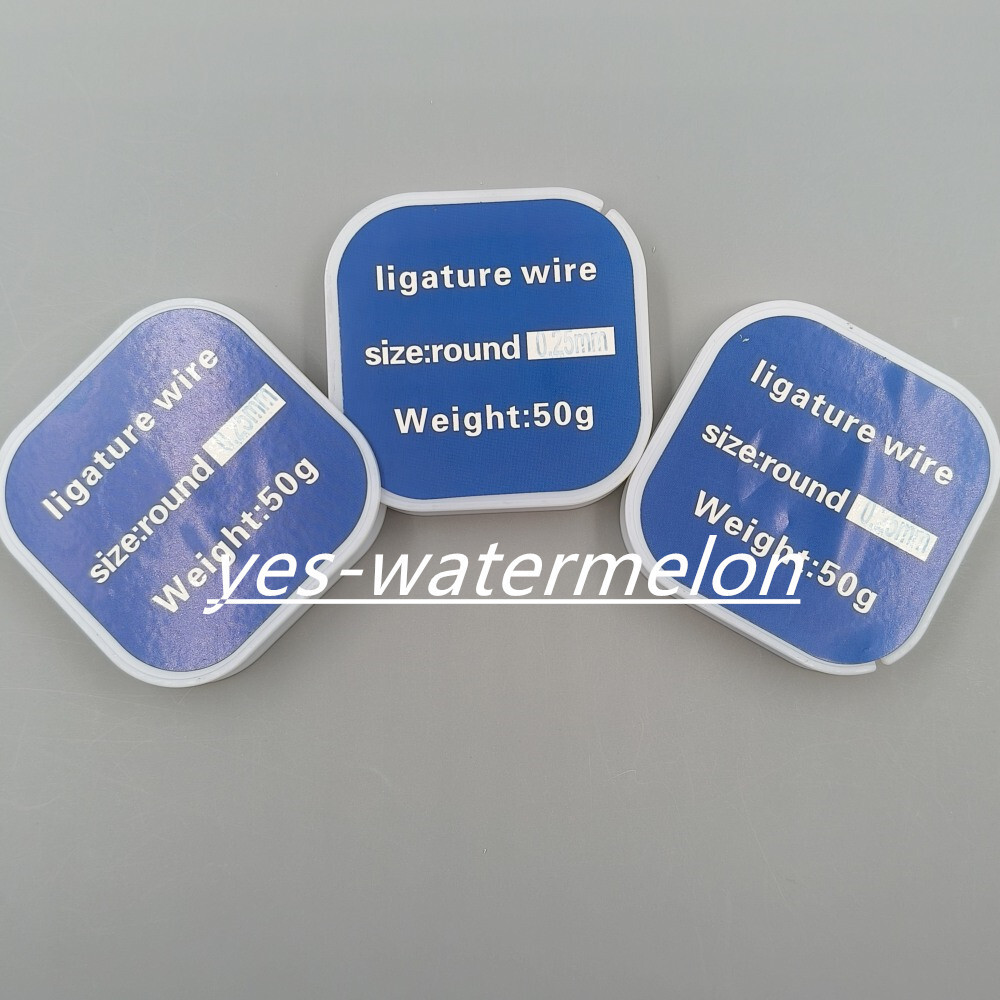 50g Dental Medical Wire Line 0.2/0.25/0.3mm 50g Plastic And Stainless Steel Roll