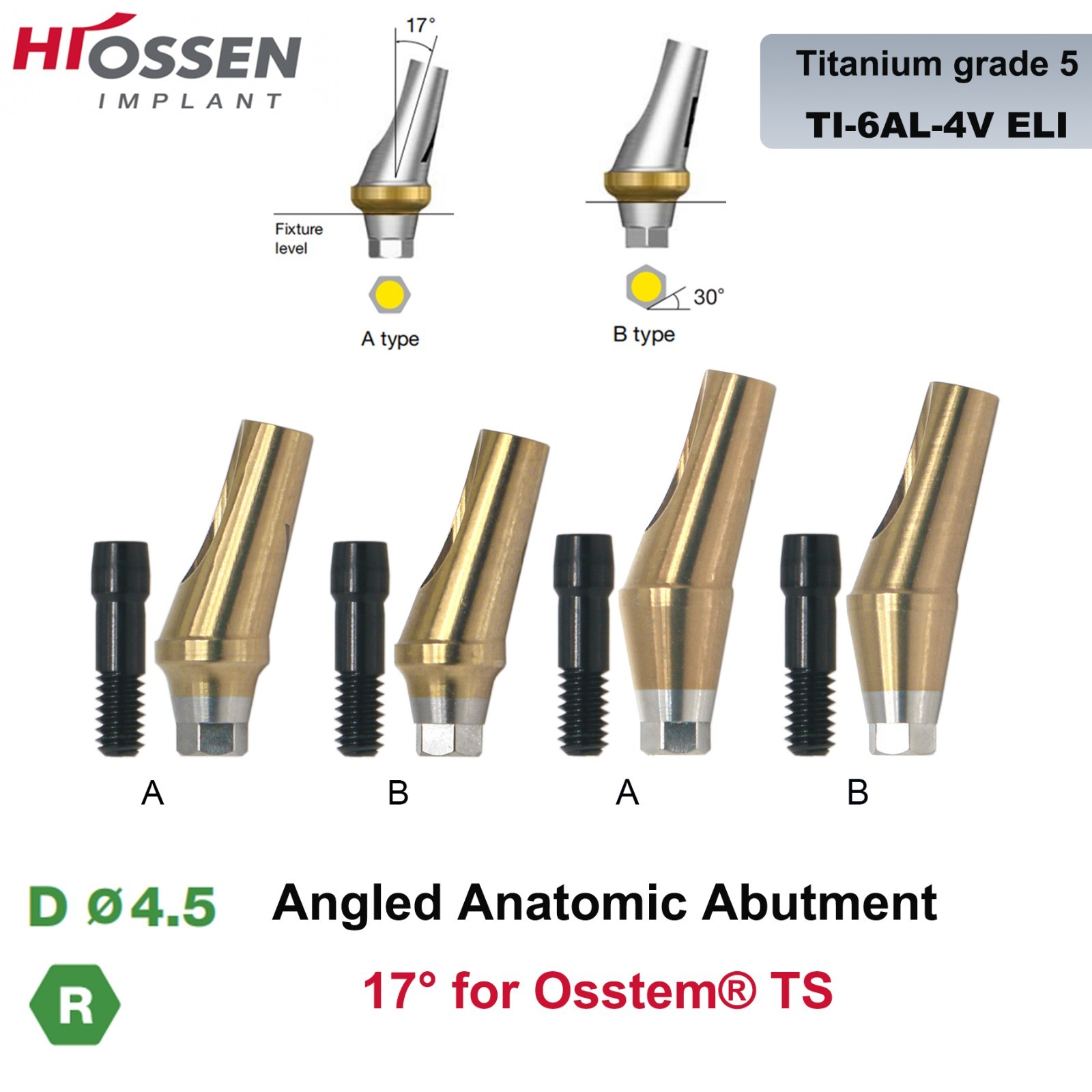 17° Angled Abutment Mini/Regular Hex Compatible with Osstem TS Implants Titanium