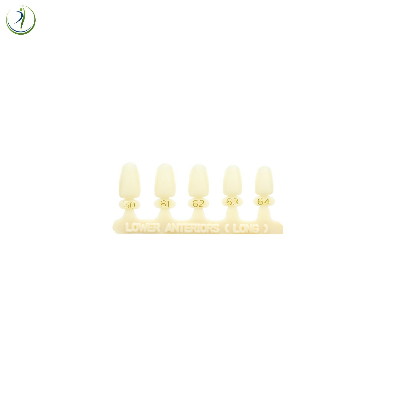 Tooth Lower Anterior Long Dental Temp Crowns Fillings Caps & Dentek Repair Kit
