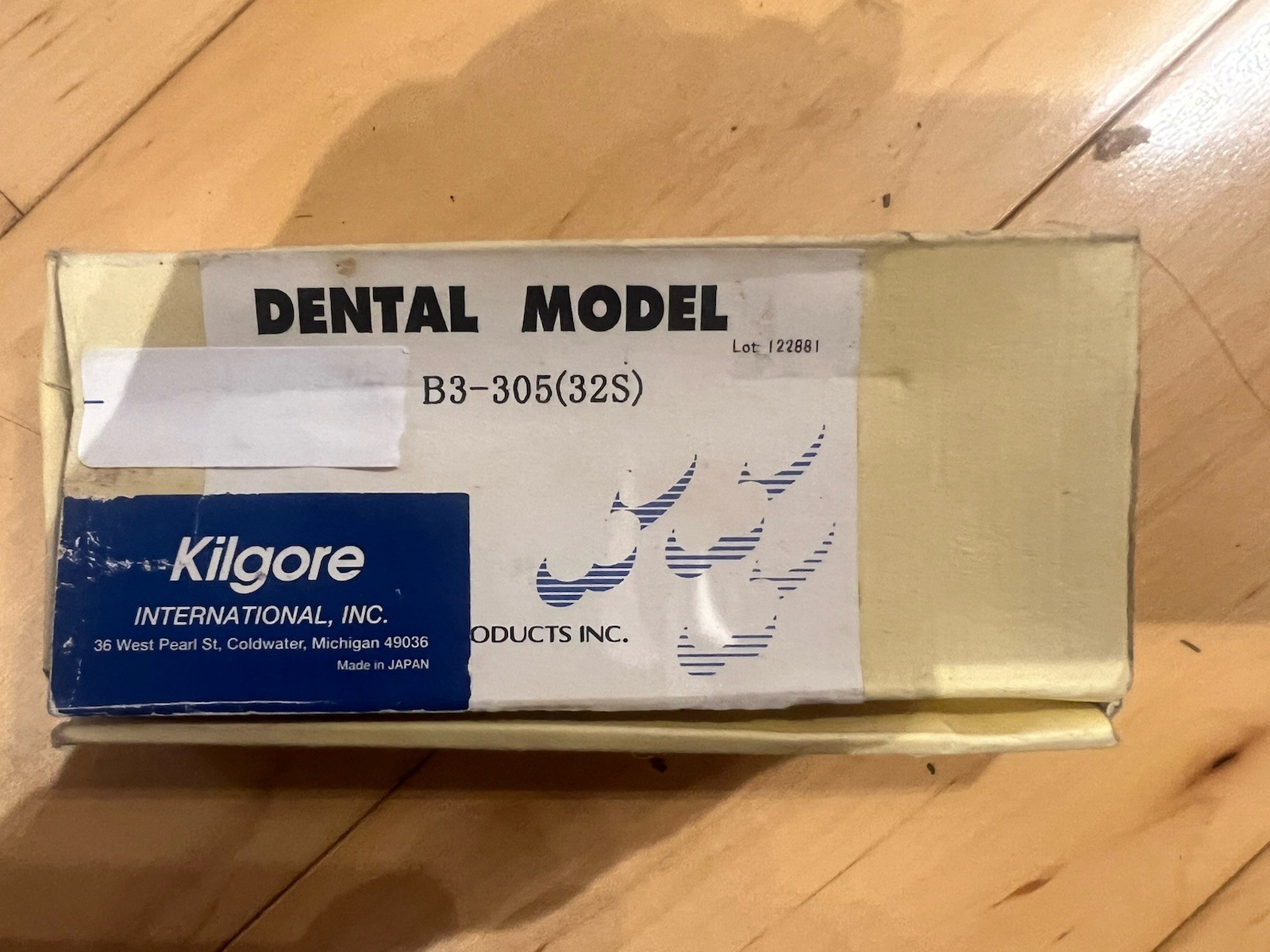 Kilgore International Typodont Teeth Set for Dentistry Model/MPN B3-305(325)