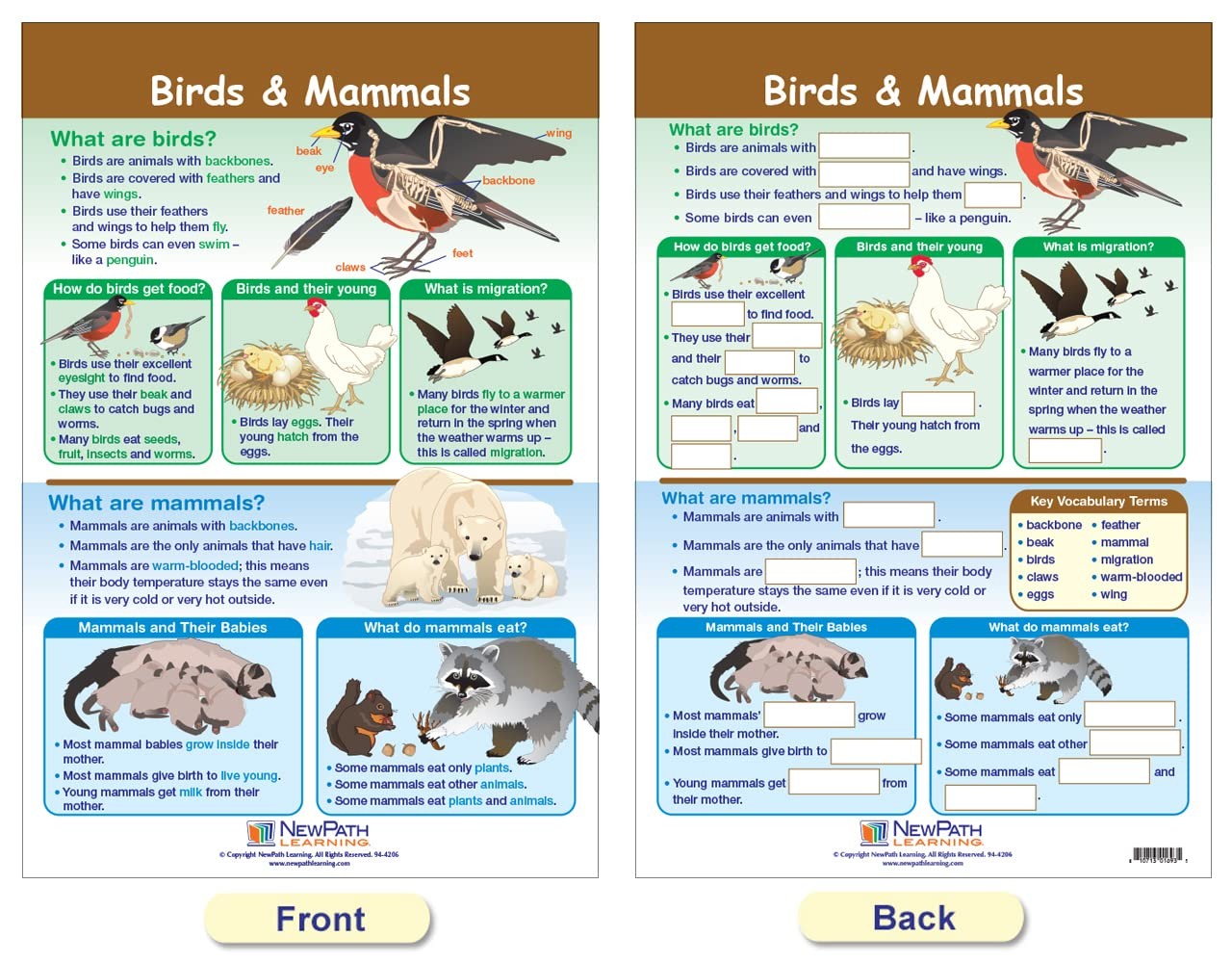 Newpath Learning-94-1501 All About Animals Bulletin Board Chart Set Pack Of 5