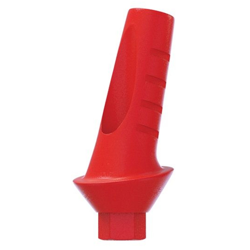 10 Angulated Anatomic Plastic Castable 15° UCLA Prosthetic Int Hex 2.42mm Dental
