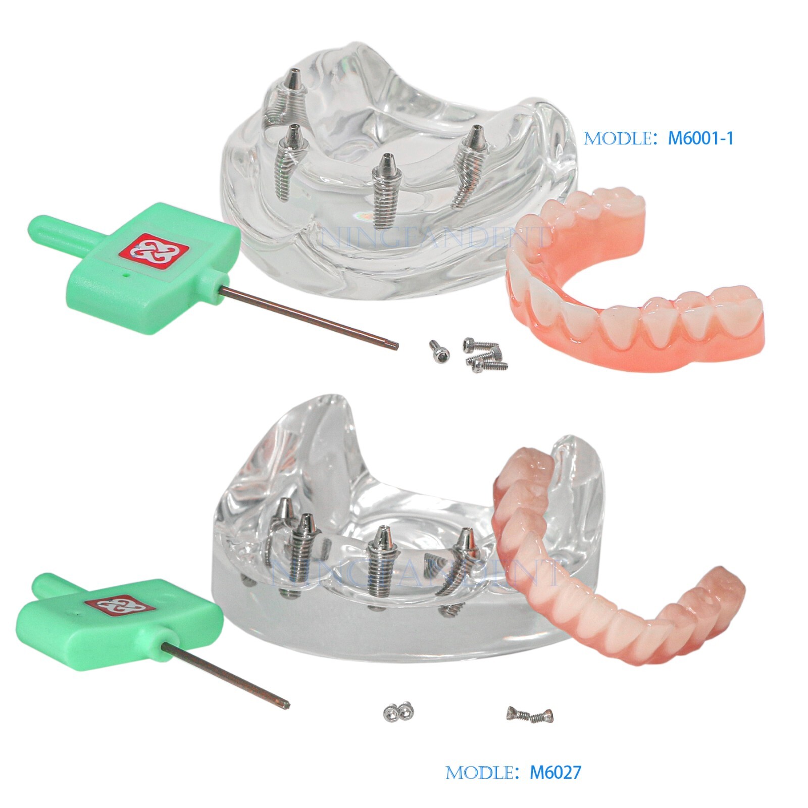 US Dental Implant Demo All-On-4 Treatment Repair Model Upper/Lower Jaw Kit,Clear