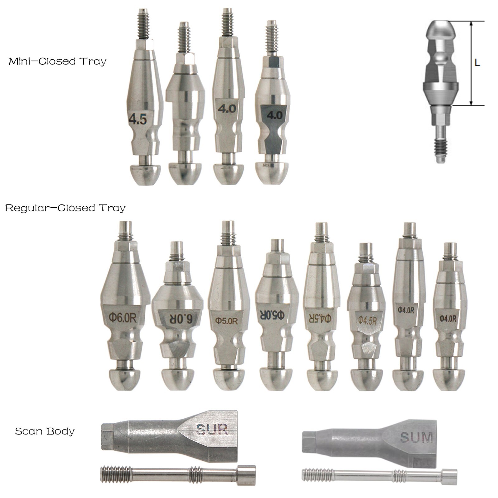 Hiossen Mini/Regular Hex Implants Locator/Healing Abutments Lab Analog Scan Body