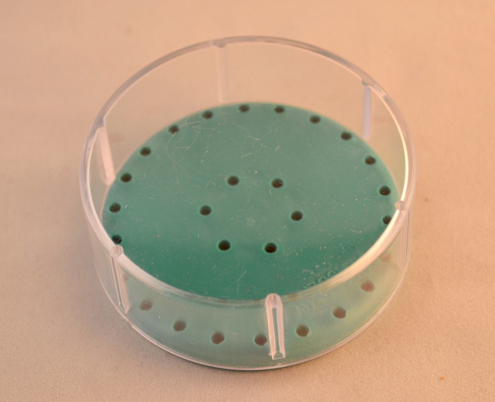 Complete Magnetic Round Dental Lab Bur Block Holder Station Holds 28 Burs – Teal
